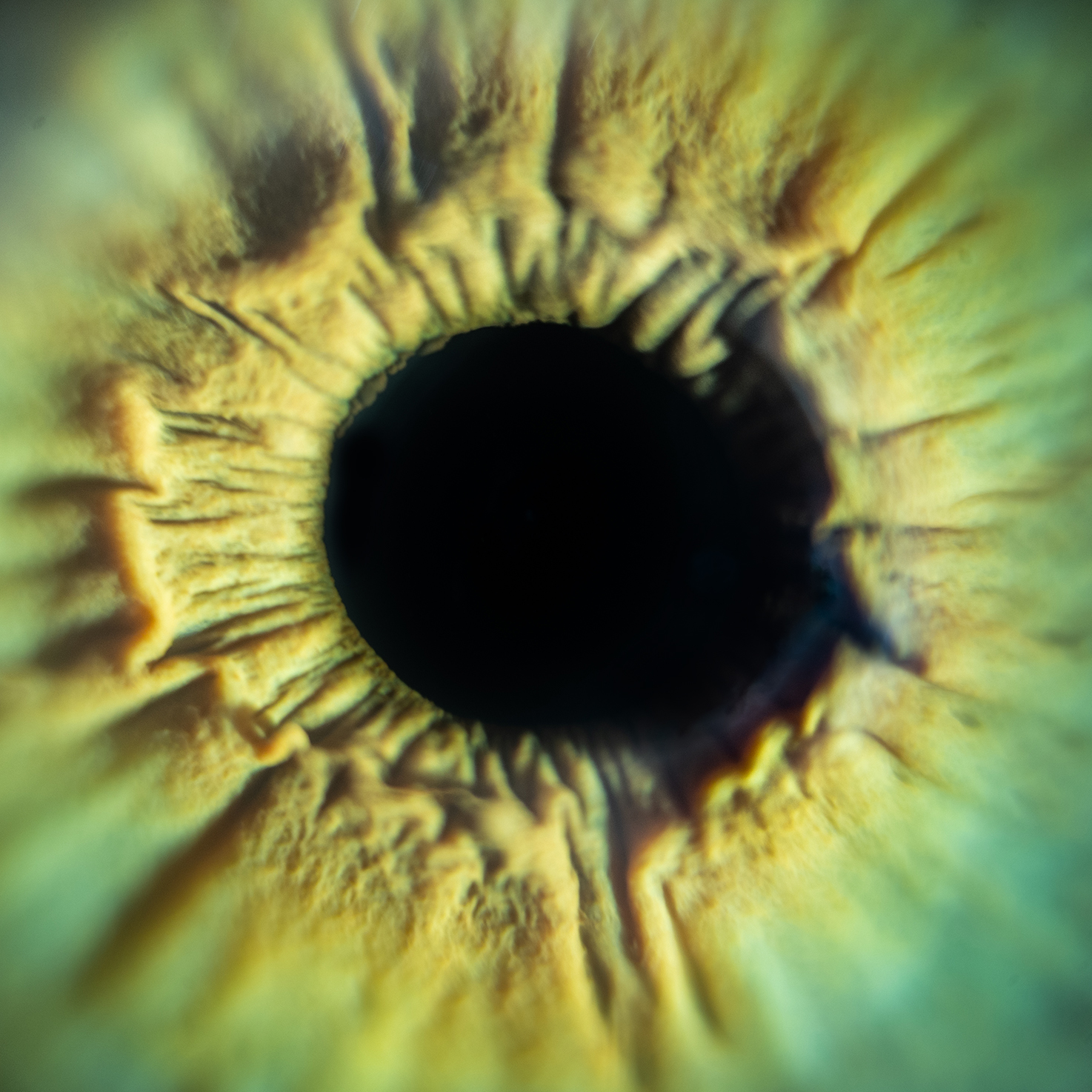 Realtà cangianti squared